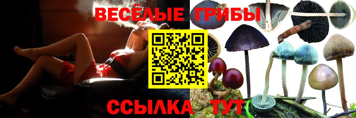 Галлюциногенные грибы ЛСД  как найти наркотики  Вичуга  Вход с VPN  Псилоцибиновые грибы Magic Shrooms 