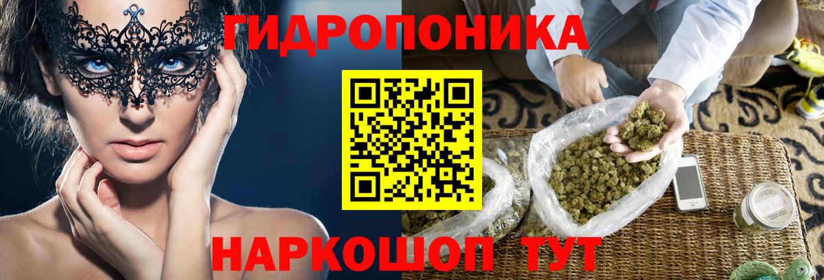 Вичуга  Конопля Ganja  Вход с VPN  Бошки марихуана OG Kush 